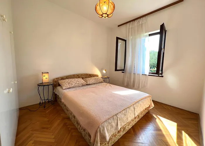 Rosa Apartament *
